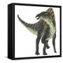 Ouranosaurus Dinosaur, White Background-Stocktrek Images-Framed Stretched Canvas