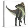 Ouranosaurus Dinosaur, White Background-Stocktrek Images-Stretched Canvas