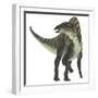 Ouranosaurus Dinosaur, White Background-Stocktrek Images-Framed Art Print