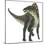 Ouranosaurus Dinosaur, White Background-Stocktrek Images-Mounted Art Print