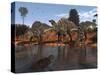 Ouranosaurus Drink at a Watering Hole While a Sarcosuchus Floats Nearby-Stocktrek Images-Stretched Canvas