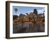 Ouranosaurus Drink at a Watering Hole While a Sarcosuchus Floats Nearby-Stocktrek Images-Framed Photographic Print