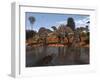 Ouranosaurus Drink at a Watering Hole While a Sarcosuchus Floats Nearby-Stocktrek Images-Framed Photographic Print