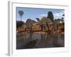 Ouranosaurus Drink at a Watering Hole While a Sarcosuchus Floats Nearby-Stocktrek Images-Framed Photographic Print