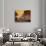 Ouro Preto, Brazil-null-Photographic Print displayed on a wall