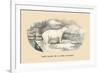 Ours Blanc de la Mer Glaciale-E.f. Noel-Framed Premium Giclee Print