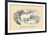 Ours Blanc de la Mer Glaciale-E.f. Noel-Framed Premium Giclee Print