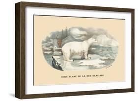 Ours Blanc de la Mer Glaciale-E.f. Noel-Framed Art Print