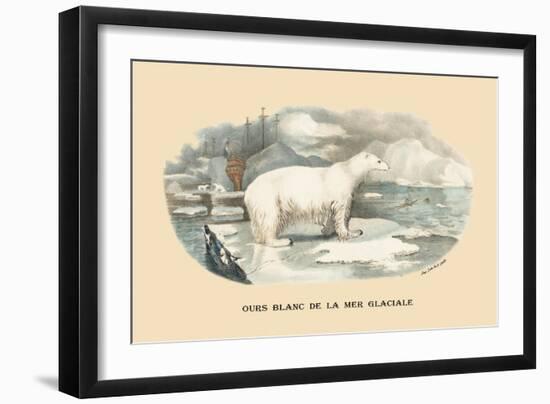 Ours Blanc de la Mer Glaciale-E.f. Noel-Framed Art Print