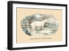 Ours Blanc de la Mer Glaciale-E.f. Noel-Framed Art Print