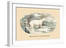 Ours Blanc de la Mer Glaciale-E.f. Noel-Framed Art Print