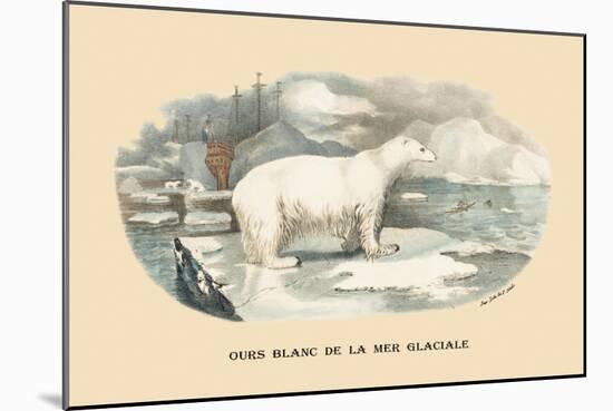 Ours Blanc de la Mer Glaciale-E.f. Noel-Mounted Art Print