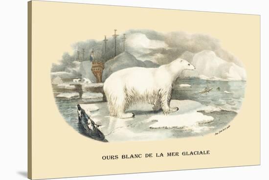 Ours Blanc de la Mer Glaciale-E.f. Noel-Stretched Canvas