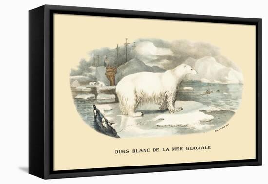 Ours Blanc de la Mer Glaciale-E.f. Noel-Framed Stretched Canvas