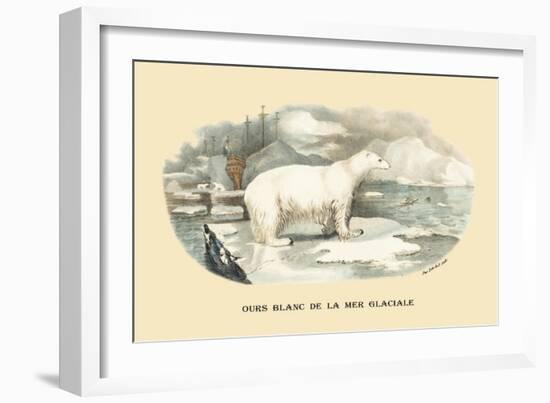 Ours Blanc de la Mer Glaciale-E.f. Noel-Framed Art Print