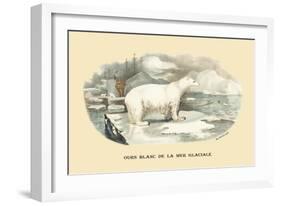 Ours Blanc de la Mer Glaciale-E.f. Noel-Framed Art Print