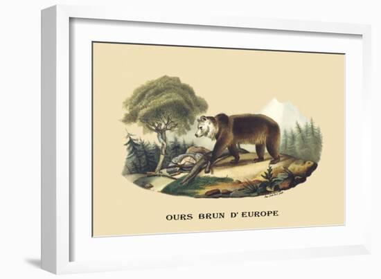 Ours Brun d'Europe-E.f. Noel-Framed Art Print