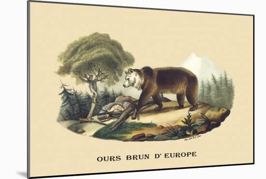 Ours Brun d'Europe-E.f. Noel-Mounted Art Print