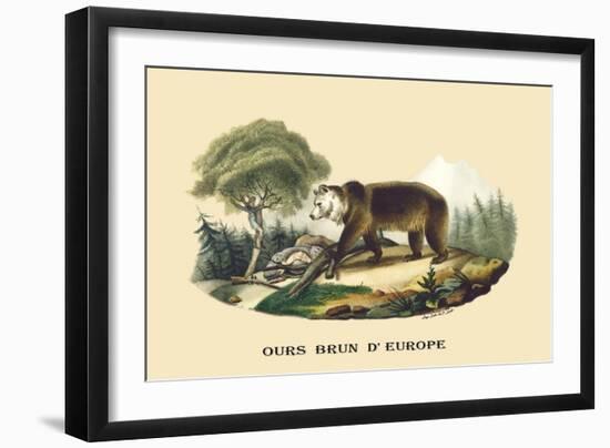 Ours Brun d'Europe-E.f. Noel-Framed Art Print