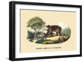 Ours Brun d'Europe-E.f. Noel-Framed Art Print