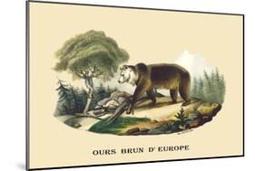 Ours Brun d'Europe-E.f. Noel-Mounted Art Print