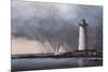 Out After the Storm-David Knowlton-Mounted Art Print