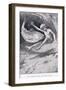 Out Flashed a Huge Old Brown Trout-Arthur A. Dixon-Framed Giclee Print