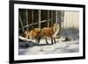 Out from Cover-Trevor V. Swanson-Framed Giclee Print