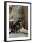 Out in the Cold, C.1890-John Sargent Noble-Framed Giclee Print