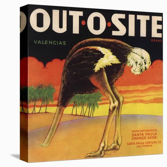 Out O Site Brand - Santa Paula, California - Citrus Crate Label-Lantern Press-Stretched Canvas