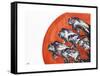 Out of a Rising Sun-Marc Allante-Framed Stretched Canvas