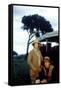 Out of Africa by Sydney Pollack with Meryl Streep and Robert Redford, 1985 (photo)-null-Framed Stretched Canvas