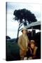 Out of Africa by Sydney Pollack with Meryl Streep and Robert Redford, 1985 (photo)-null-Stretched Canvas