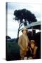 Out of Africa by Sydney Pollack with Meryl Streep and Robert Redford, 1985 (photo)-null-Stretched Canvas