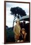 Out of Africa by Sydney Pollack with Meryl Streep and Robert Redford, 1985 (photo)-null-Framed Photo