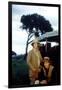 Out of Africa by Sydney Pollack with Meryl Streep and Robert Redford, 1985 (photo)-null-Framed Photo