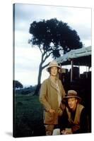 Out of Africa by Sydney Pollack with Meryl Streep and Robert Redford, 1985 (photo)-null-Stretched Canvas