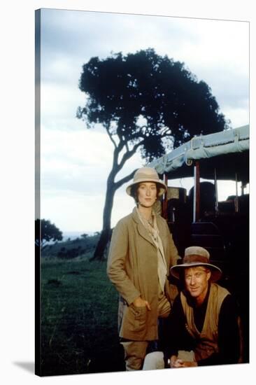 Out of Africa by Sydney Pollack with Meryl Streep and Robert Redford, 1985 (photo)-null-Stretched Canvas