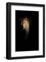 Out of Darkness-Richard Guijt-Framed Photographic Print