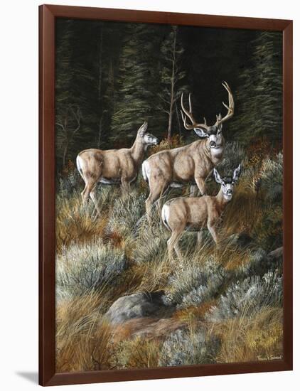 Out of Shadows-Trevor V. Swanson-Framed Giclee Print