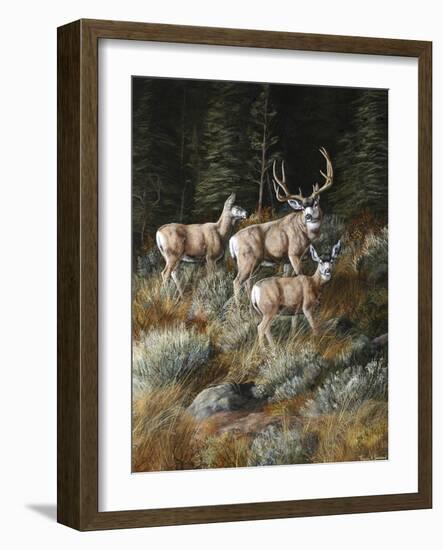 Out of Shadows-Trevor V. Swanson-Framed Giclee Print