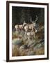 Out of Shadows-Trevor V. Swanson-Framed Giclee Print