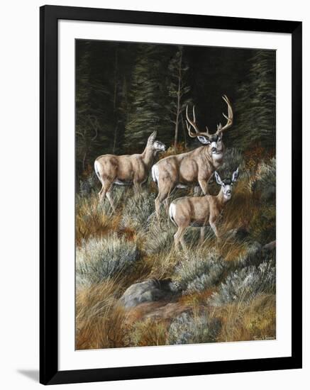 Out of Shadows-Trevor V. Swanson-Framed Giclee Print