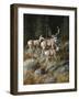 Out of Shadows-Trevor V. Swanson-Framed Premium Giclee Print