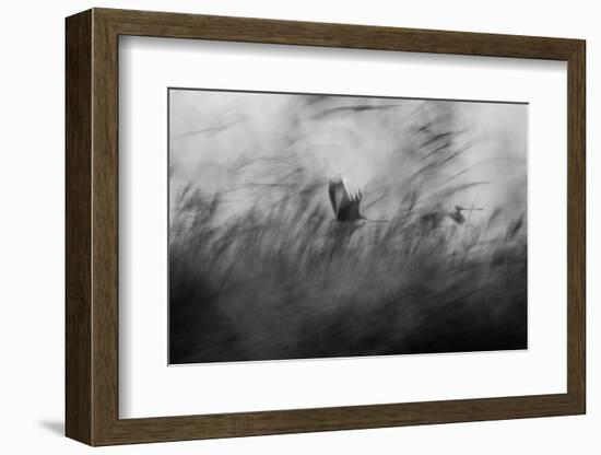 Out of the Blue-Elior Segev-Framed Photographic Print