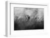 Out of the Blue-Elior Segev-Framed Photographic Print