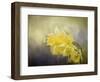 Out of the Darkness-Jai Johnson-Framed Giclee Print