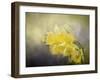 Out of the Darkness-Jai Johnson-Framed Giclee Print