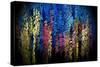 Out of the Darkness-David Manlove-Stretched Canvas