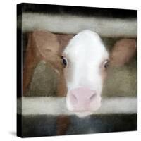 Out of the Fence-Kimberly Allen-Stretched Canvas